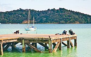 Parua Bay wharf, Northland, New Zealand, 4th. Dec. 2010 - Flickr - PhillipC