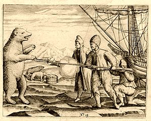 Polar bear, Gerrit de Veer (1596)