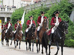Queluz Palace horses approach (9180978620)