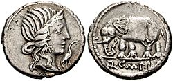 Quintus Caecilius Metellus Pius