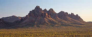 Ragged Top and saguaro forest, Ironwood Forest National Monument.jpg