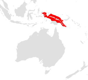 Rhipidura leucothorax range.png