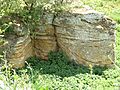 Richmond Farm Pit, Gedgrave 5