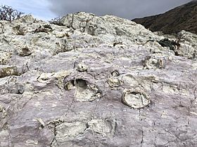Rock formation at Chancet Rocks -6