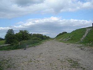 Sea Defence at Peterstone Great Wharf - geograph.org.uk - 441247