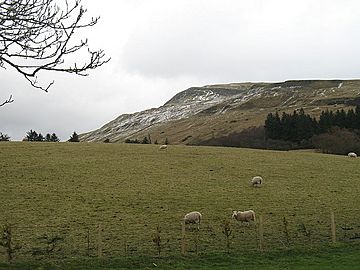 Sheep pasture below Skiddaw - geograph.org.uk - 1218180.jpg