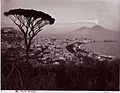 Sommer, Giorgio (1834-1914) - n. 1167 - Napoli - Panorama (2)