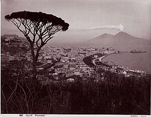 Sommer, Giorgio (1834-1914) - n. 1167 - Napoli - Panorama (2)