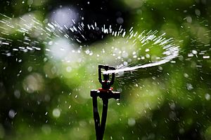 Sprinkler Irrigation - Sprinkler head