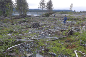 Survey of megatsunami runup damage Taan Fiord 9 August 2016