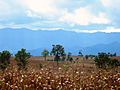 Tak province Burmese mountains