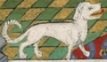 TalbotHound Talbot Shrewsbury Book 1445
