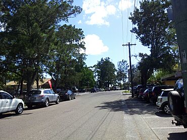 Terrey Hills NSW 2084, Australia - panoramio (2).jpg