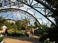 The Hot, Dry Biome, Eden Project - geograph.org.uk - 219410