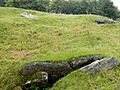 The box cist and the two dolmens type cists (geograph 3079713)