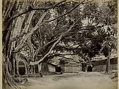 The spot where Tipu Sultan died in Srirangapatna (c. 1880s)