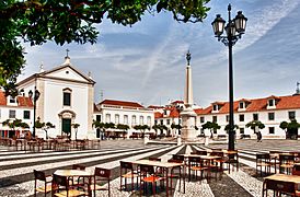 Town square (Praça Marquês de Pombal) (5469253558)
