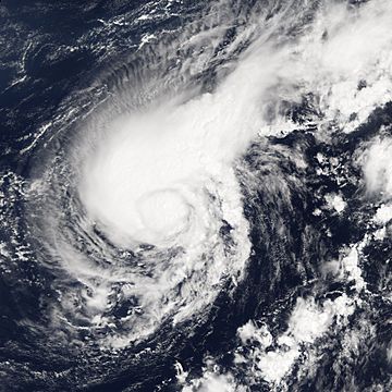 Tropical Storm Harvey Aug 4 2005.jpg