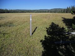 Uinta Highline Trail, Big Park, Uintah County, Utah, USA