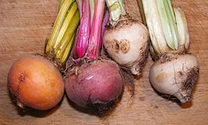Uncommon beetroot colours