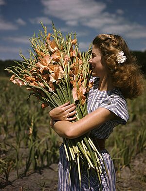 Unidentified woman holding gladiolus at Terra Ceia Island Farms, Florida
