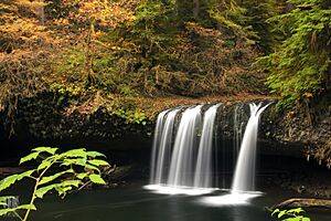 Upper Butte Creek Falls (6270966505).jpg