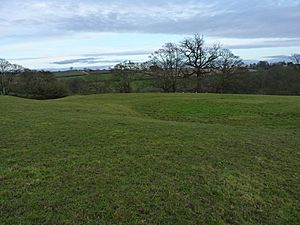 Upton Cressett medieval village (geograph 3246640).jpg