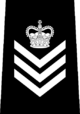 Vancouver Police - Staff Sergeant.png