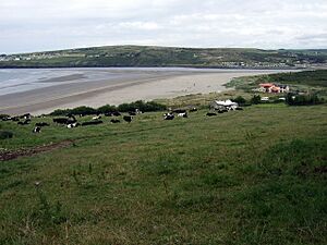 View over Poppit Sands - geograph.org.uk - 890616
