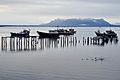 Vista de Puerto Natales