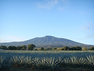 Volcán de Tequila, Jalisco.jpg