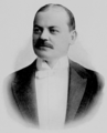 William Henry Stead (1858–1918)