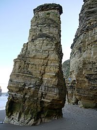 'Lot's Wife' sea-stack, Marsden Bay - geograph.org.uk - 1637633