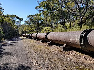 2021-07-18 Woronora-Penshurst Pipeline 2