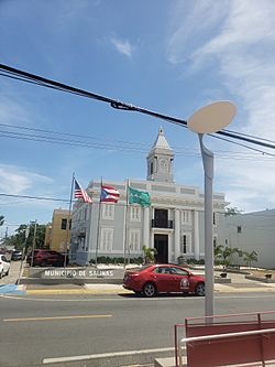 Town Hall of Salinas