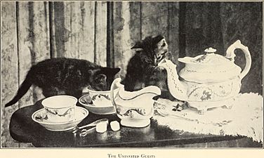 Alexander and some other cats (1929) (17761746768)
