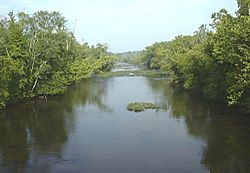 The Appomattox River at Matoaca
