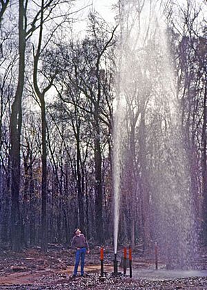 Artesian-well-georgia-large