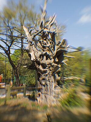 Aviary at the houston zoo tree