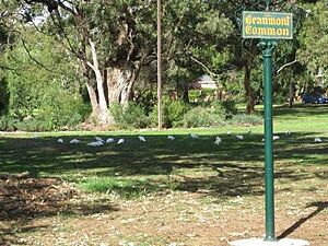 Beaumont Common