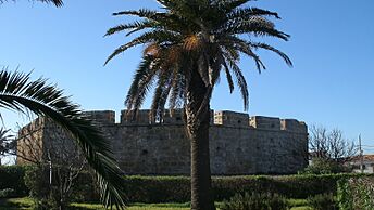 Tall curved and crenellated wall with palm tree in foreground