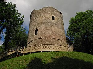 Bronllys Castle - geograph.org.uk - 1921221
