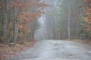 Burlington estate entrance