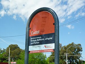 Bus stop Cudal