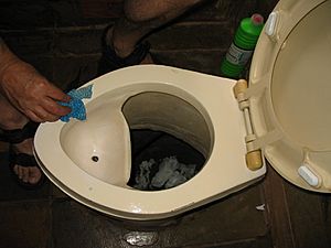 Cleaning a urine-diverting dry toilet (UDDT) in Johannesburg (2947142348)