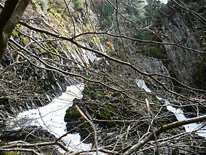 Conwy Falls - geograph.org.uk - 770954
