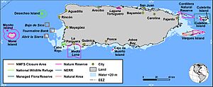 Coral Reef Ecosystem of PR