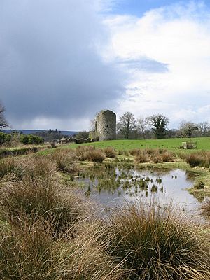 Crom Old Castle - geograph.org.uk - 167807