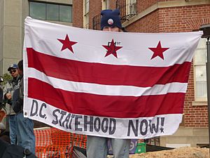 DC statehood now flag at Inauguration 2013