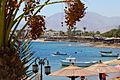 Dahab View from dive shop